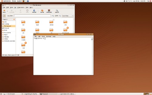 Ubuntu 9.04 Beta desktop