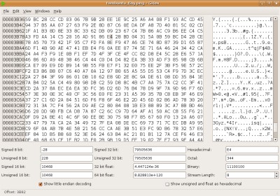 encrypted file in hex editor