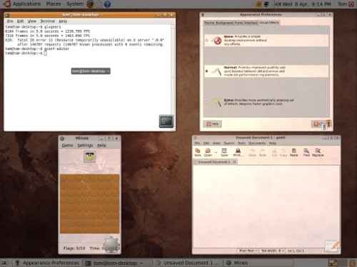 Compiz in a virtual machine with glitches