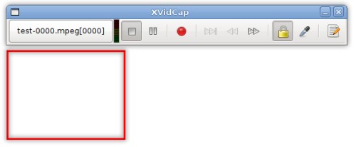 XVidCap