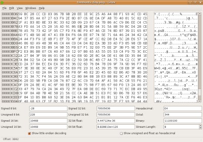 encrypted file in hex editor